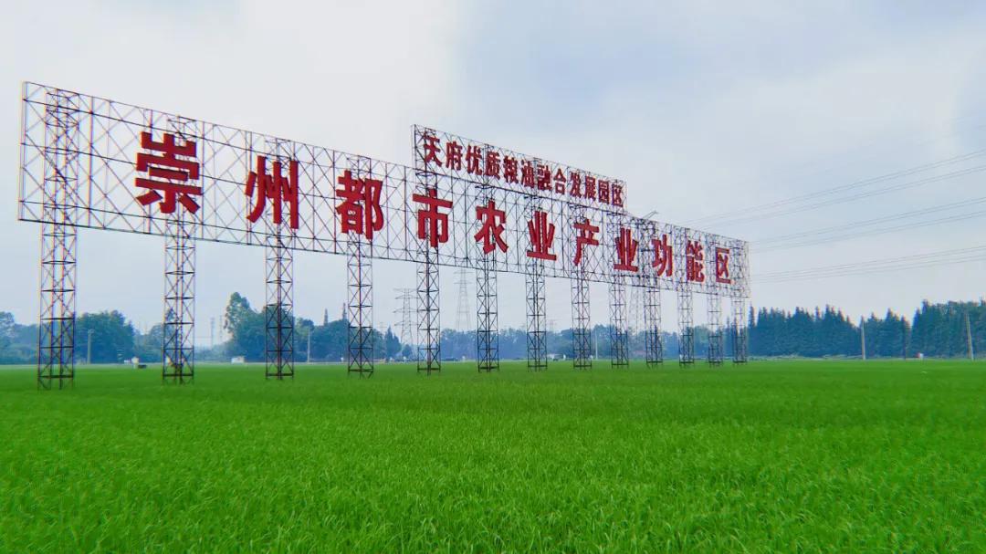 探索乡村振兴成功之道