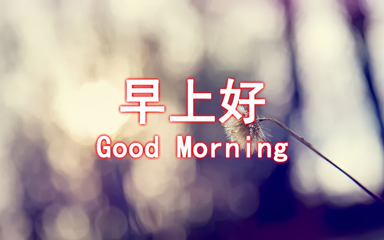 周六最新温馨问候语 适合周六发的早安祝福语大全图片