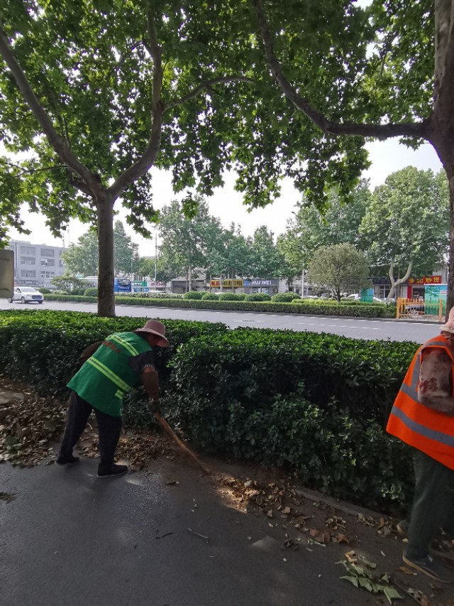 如何用园林栽培技术防治园林植物病虫害