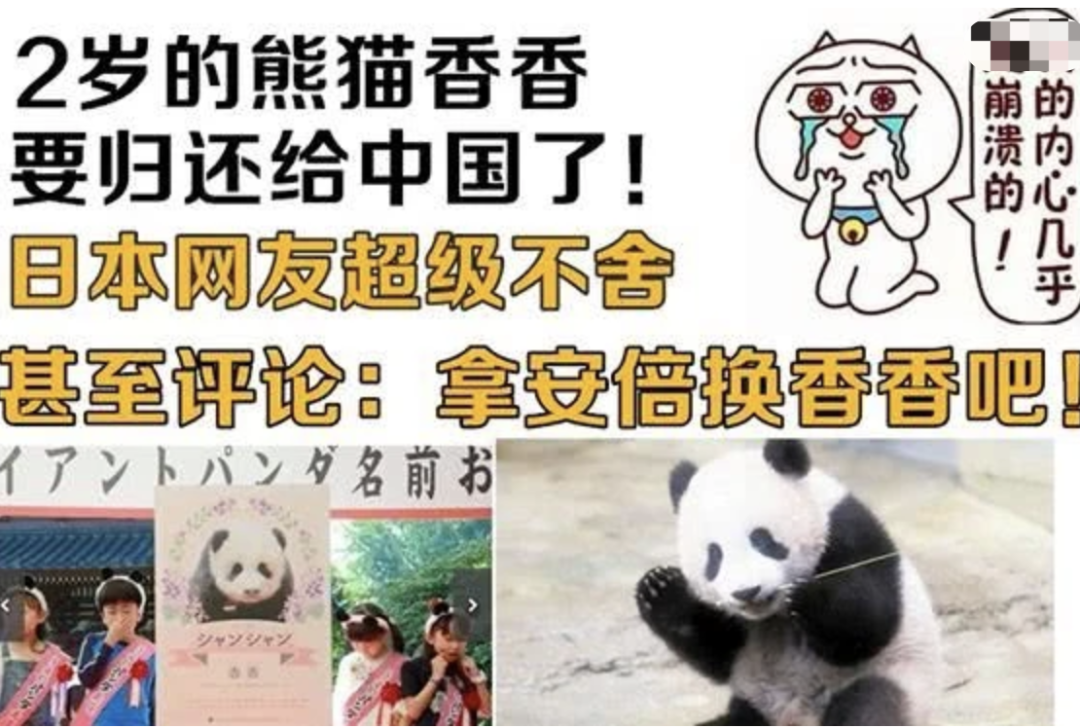 租借大熊猫每年每只100万美元，租期10年，最后，