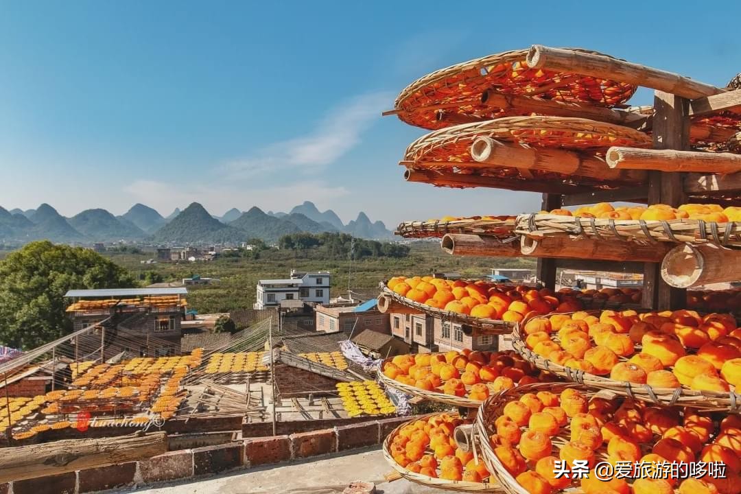 The best place to travel in October-November, the late autumn tour bus is about to depart