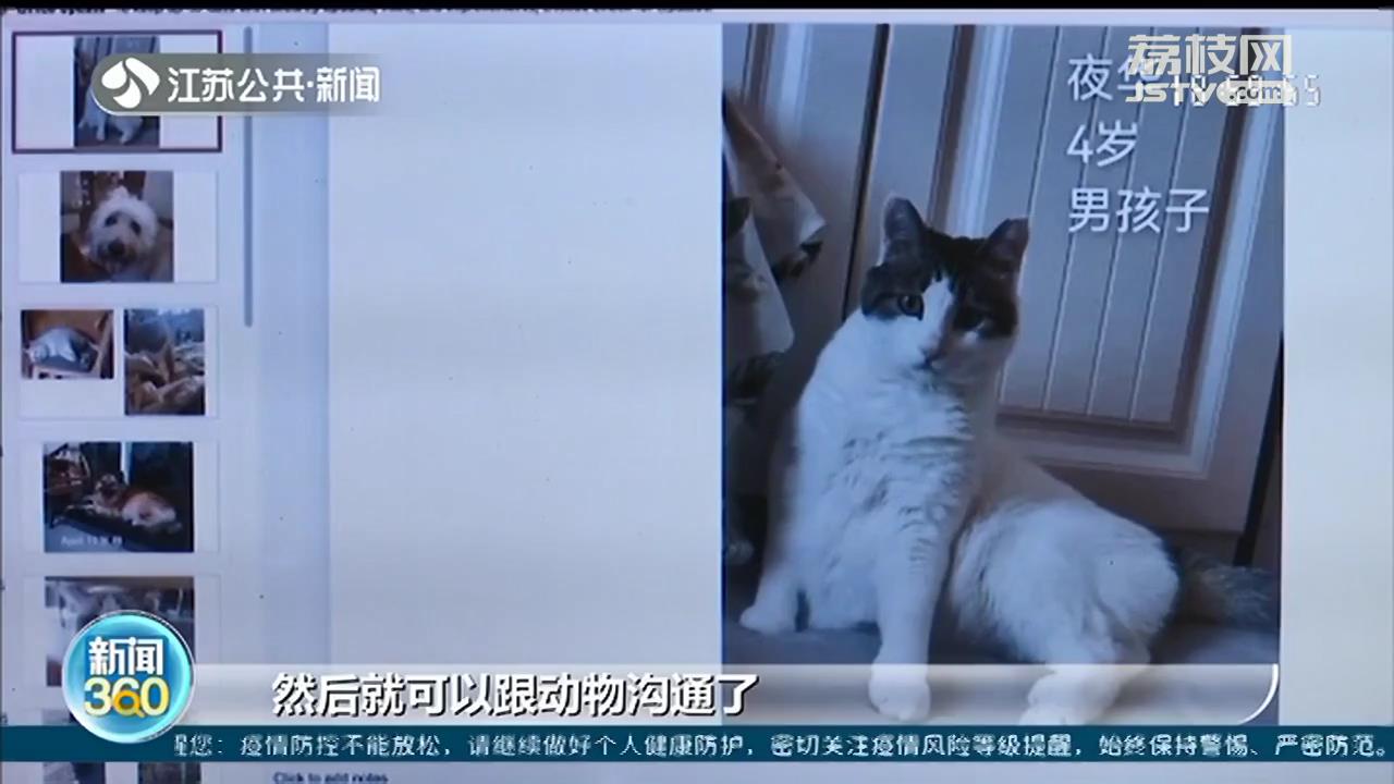 太荒唐！花5万元学魔法、招鬼、动物通灵？这智商税算是交给&ldquo;鬼&rdquo;了