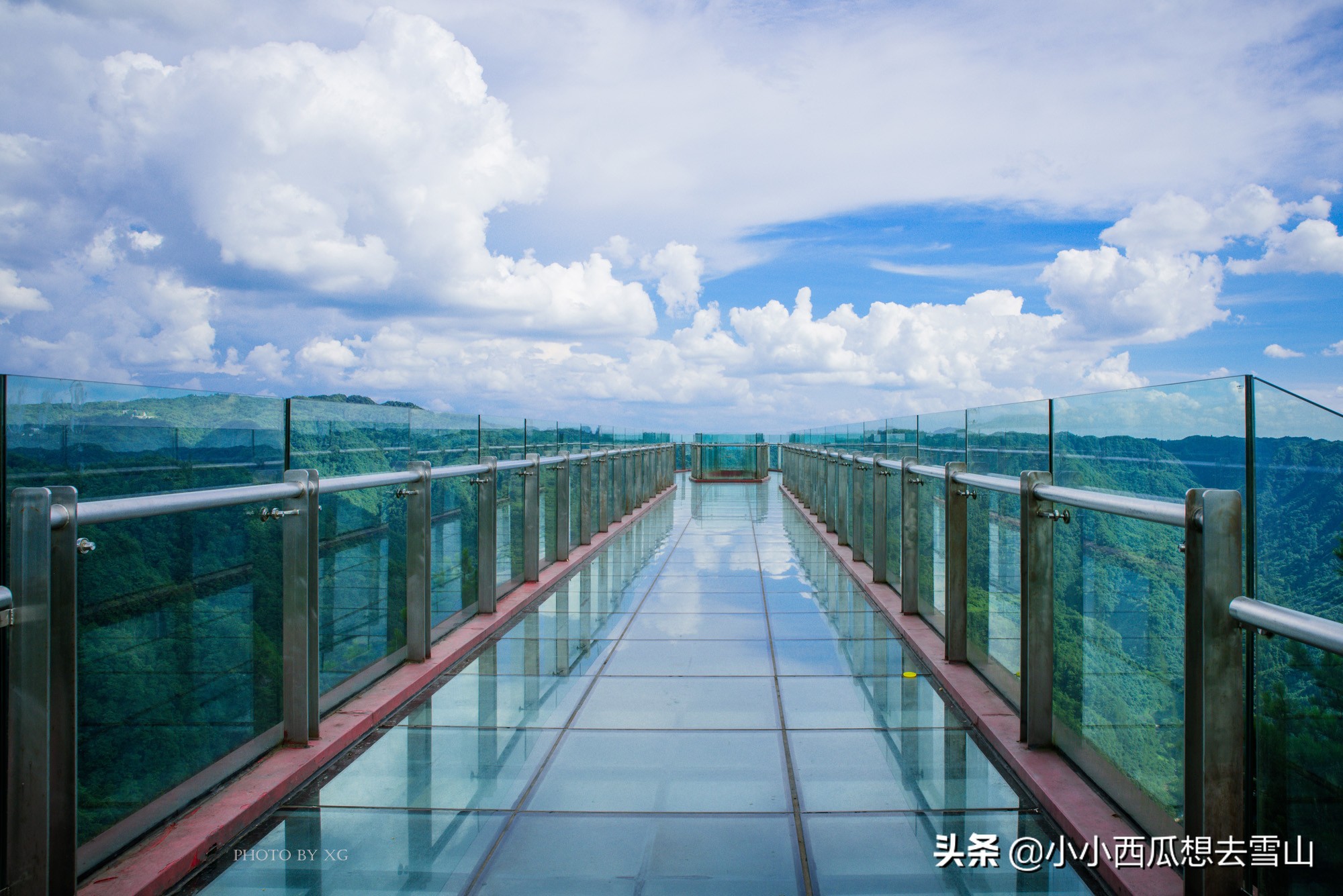 重庆最美的原始森林，是理想的避暑胜地之一，