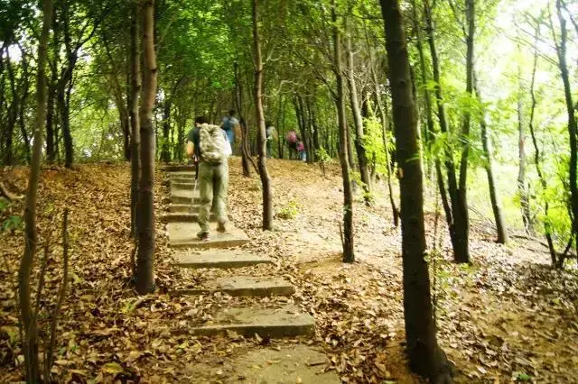 广东省最经典徒步路线和挑战路线，你全都走过吗？