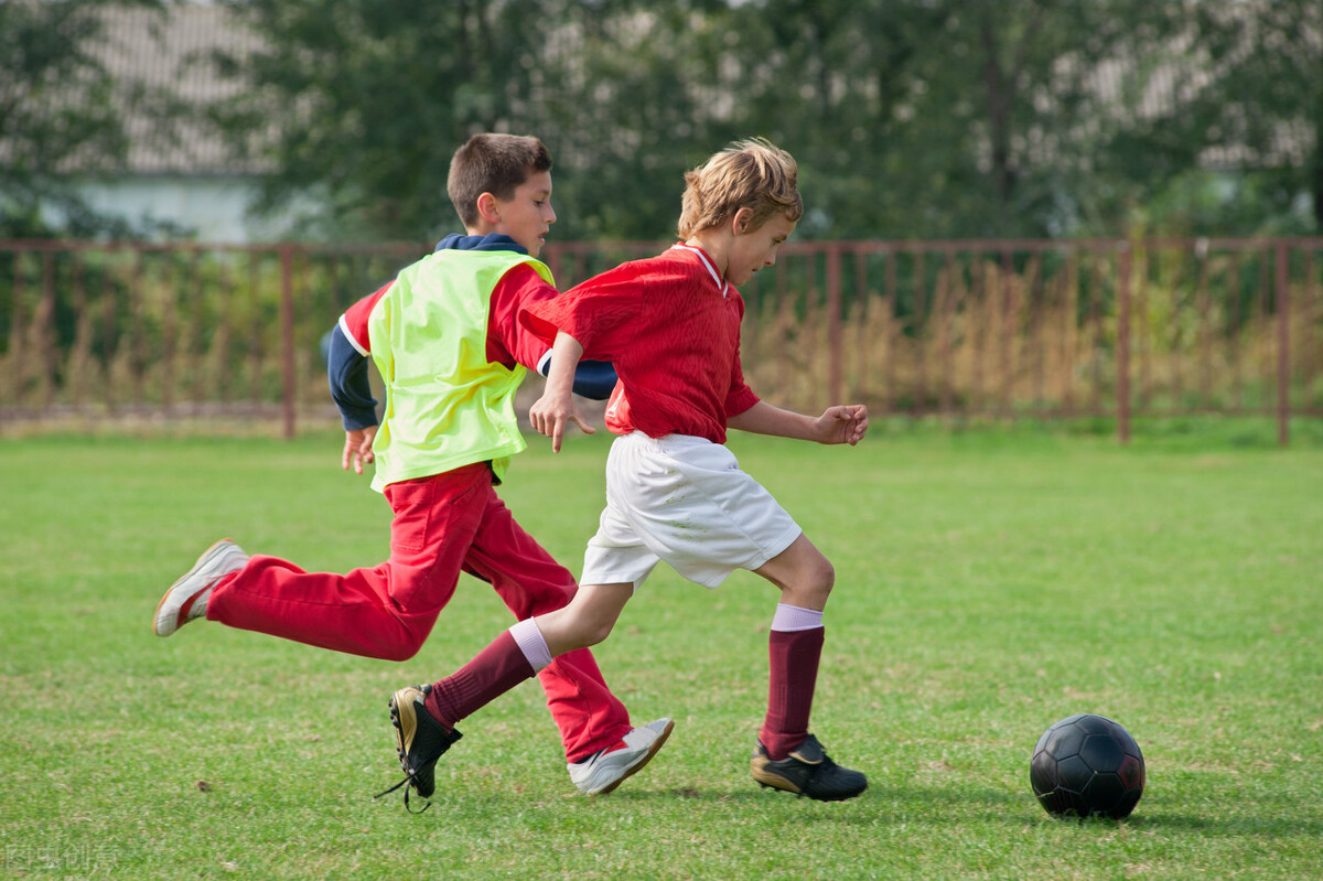 少儿体育培训机构专业的教务管理系统软件