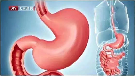 吃麵養胃還是傷胃？ 答案可能和你想的不同！ 這樣煮麵，筋道又好吃