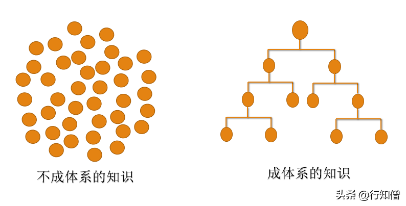 “为什么刷抖音学习不靠谱？”了解这两点，你就明白了