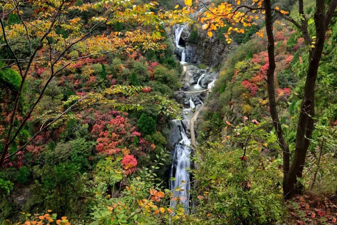 Shanxi's beautiful tourist check-in place, it becomes a paradise on earth in autumn, which is amazing