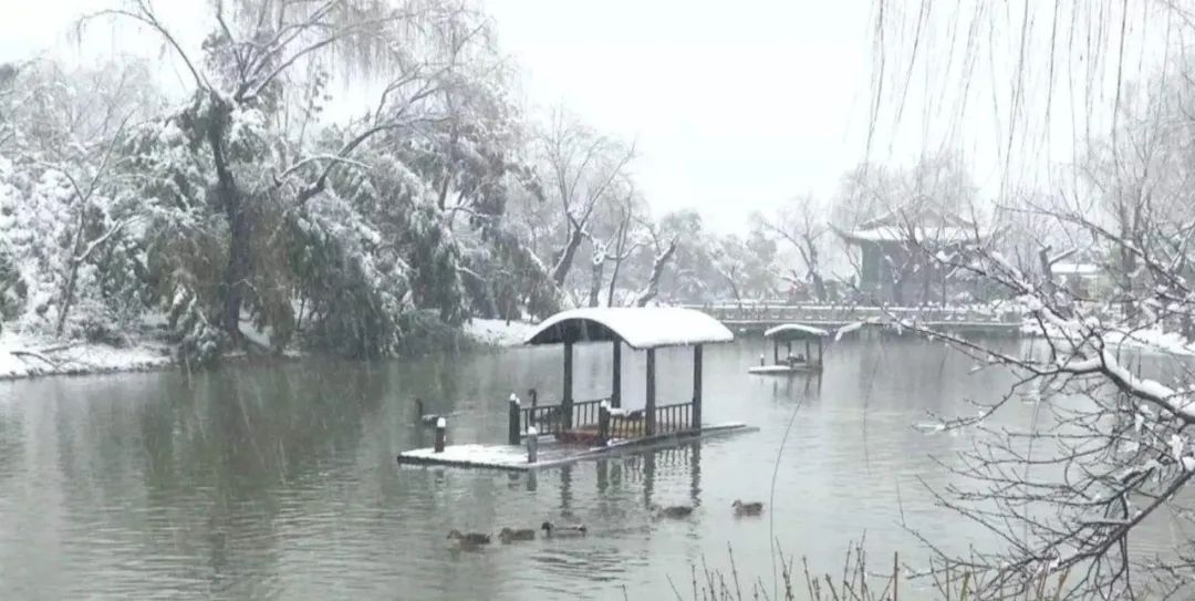 「诗词鉴赏」十首冬景的诗词，冬天的景色，在最美的诗词里-第8张图片-诗句网