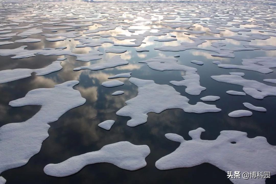 北极海冰可能比预期更快的在夏季消失，意味着全球变暖将会更快