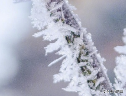 很拽很狂的霸气说说 混社会硬句子图片