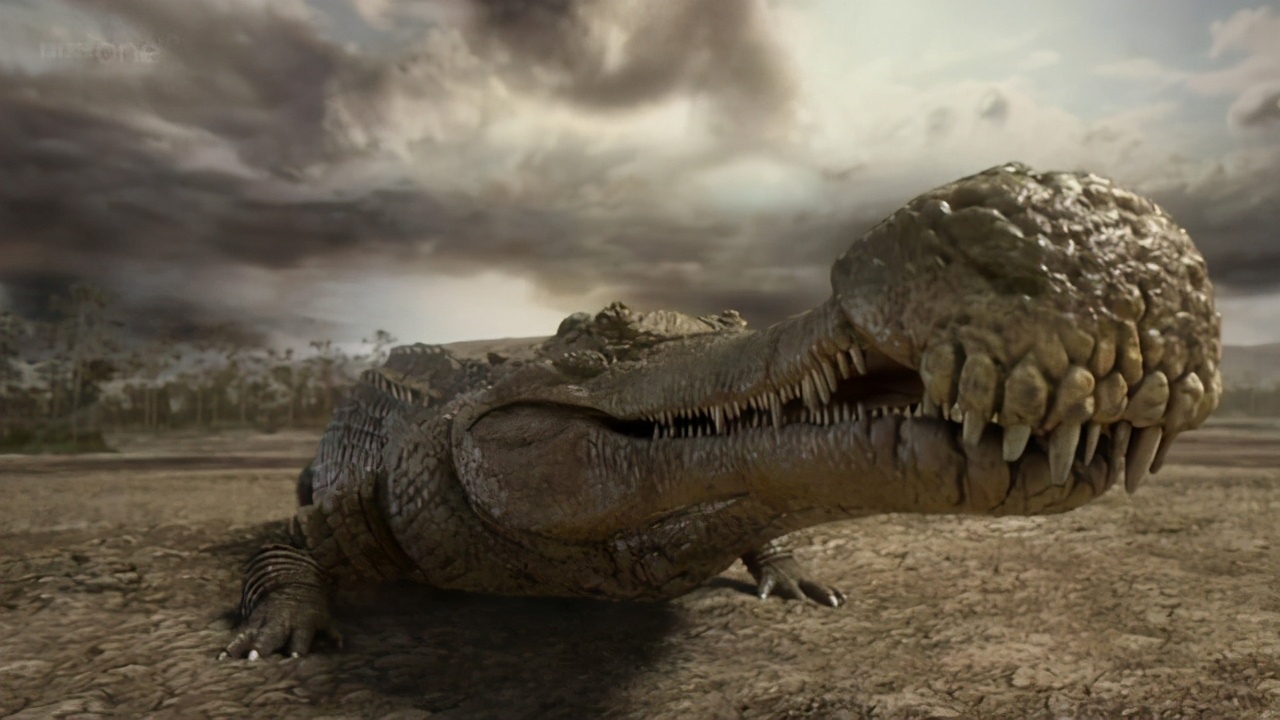 鳄鱼家族有多倒霉?努力两亿年,每次都在要称霸时被地球"针对"