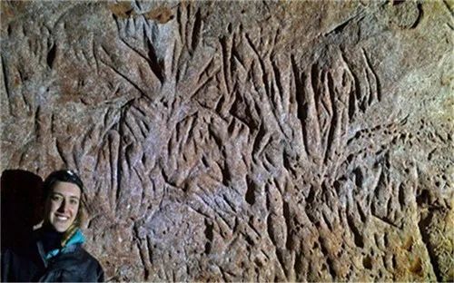 巴西发现一条一万三千年前的隧道，造型奇特，专家：修筑者不是人