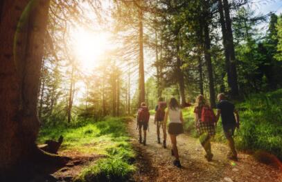 The whole world 5 old virgin forest, the lung with the earth breathes together...