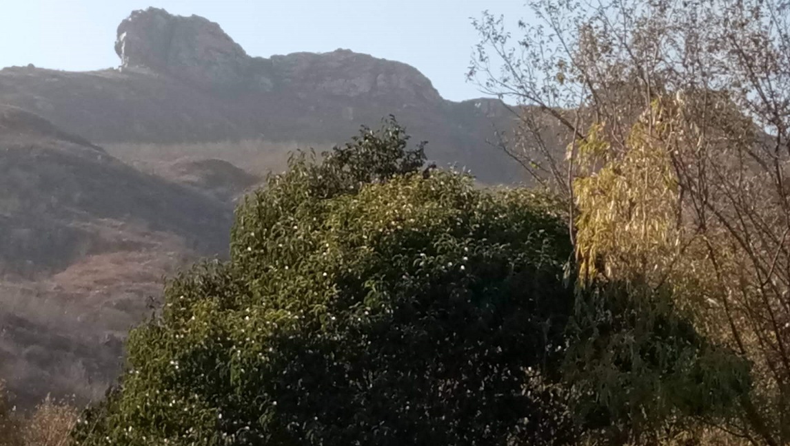中医药文化的发源地：嵩山一大片，不如逍遥一个观