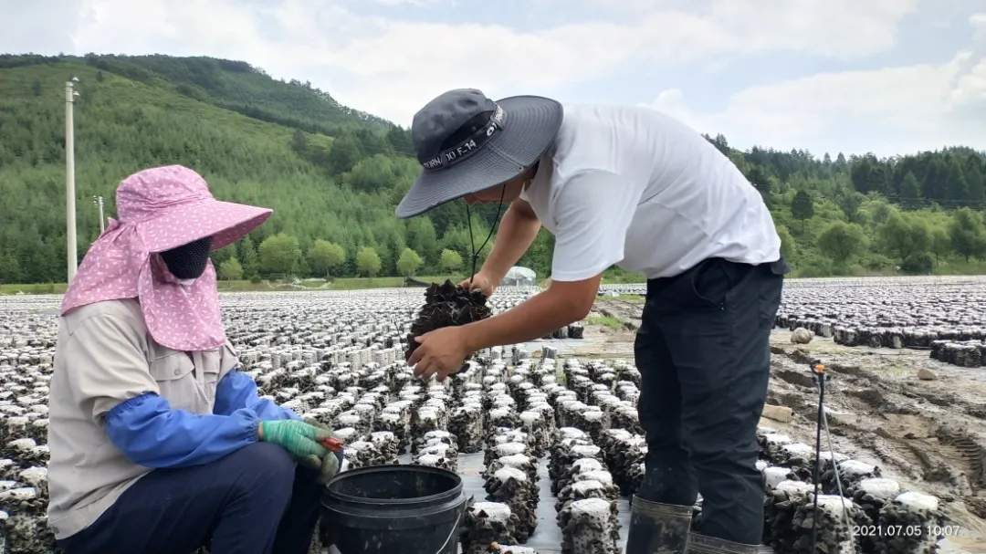 女儿被西北农林科技大学动物科学专业录取,到底该不该去?小康圆梦 | 清河城镇万利村黄国强:心系家乡雁归来 返乡创业有情怀(图2) 小康圆梦 | 清河城镇万利村黄国强:心系家乡雁归来 返乡创业有情怀