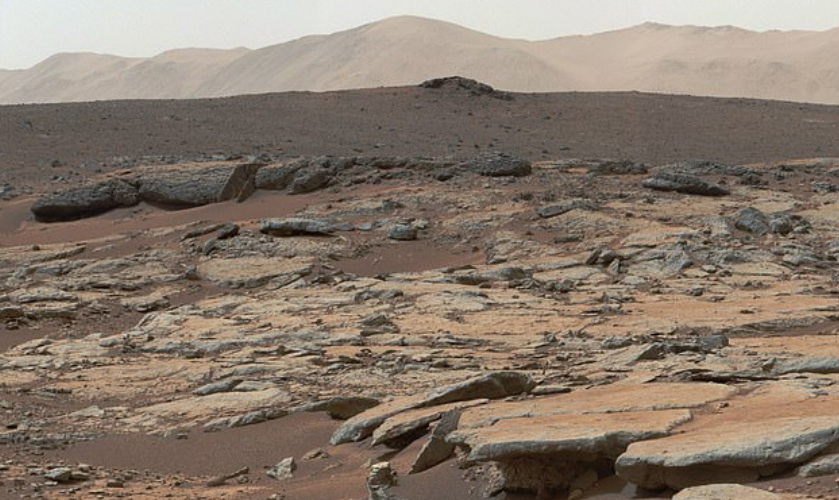 世界干极地下约28厘米处，发现微生物存在，说明火星也有生命？