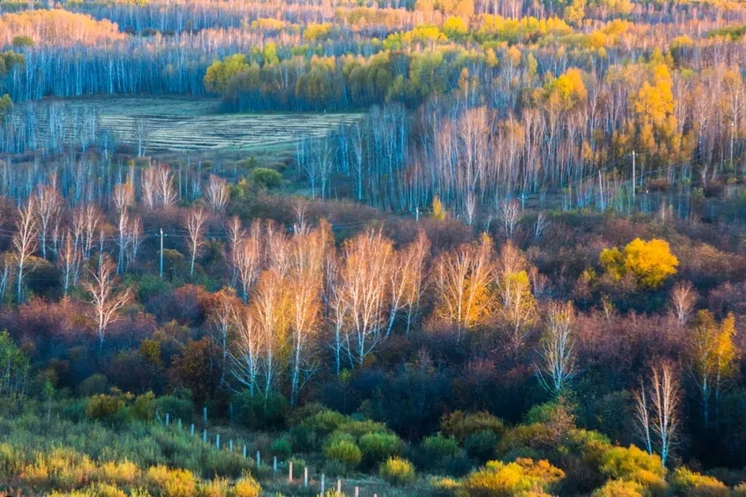 Repelling the scorching summer grassland paradise, Hulunbuir travels the most beautiful route, parent-child vacation praises