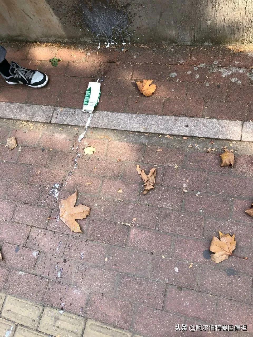 搞笑段子：我的滑板车被狗子抢走了，这找谁说理去呀！
