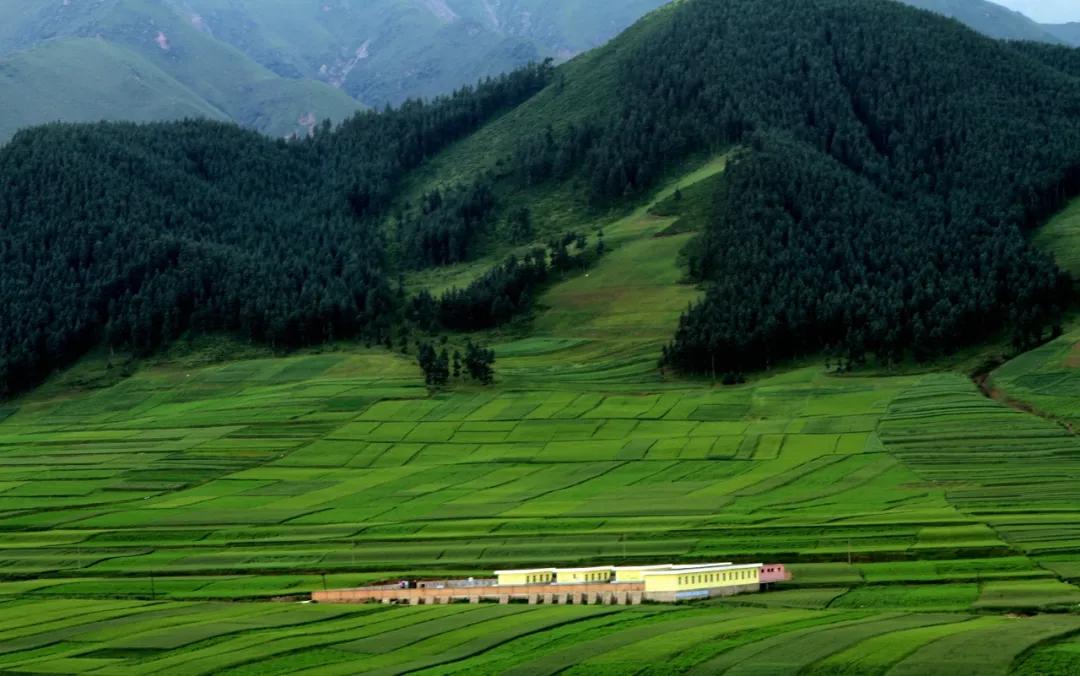 天马行空·自在武威 上央视啦！
