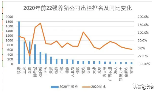 22个猪企2021年出栏规划18967万头，增长142.9%