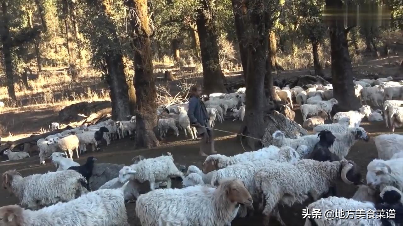 尼泊尔山区牧民特意用大米饭招待我，为表示感谢送他2000卢比
