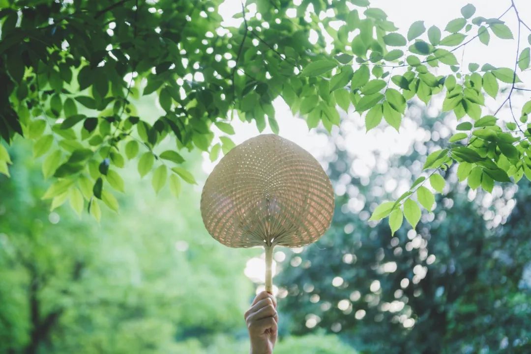 夏天最美的九个瞬间：风，满座凉；莲，入梦香-第4张图片-非凡网