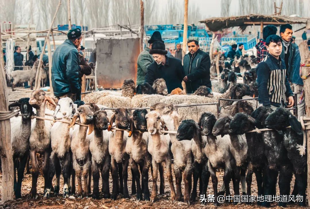 Why do you say "you have not been to Xinjiang if you have not been to Kashgar"?