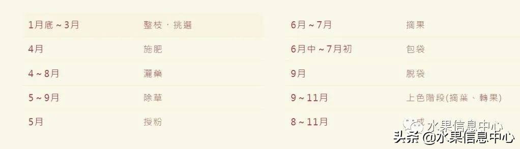 日本苹果为什么种的好？走进日本苹果第一大县“青森县”