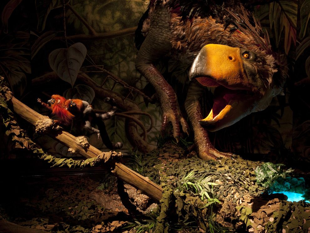 人类进化链上缺失的“过渡化石”被找到，印证