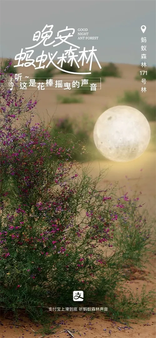 最近喜欢的10句文案