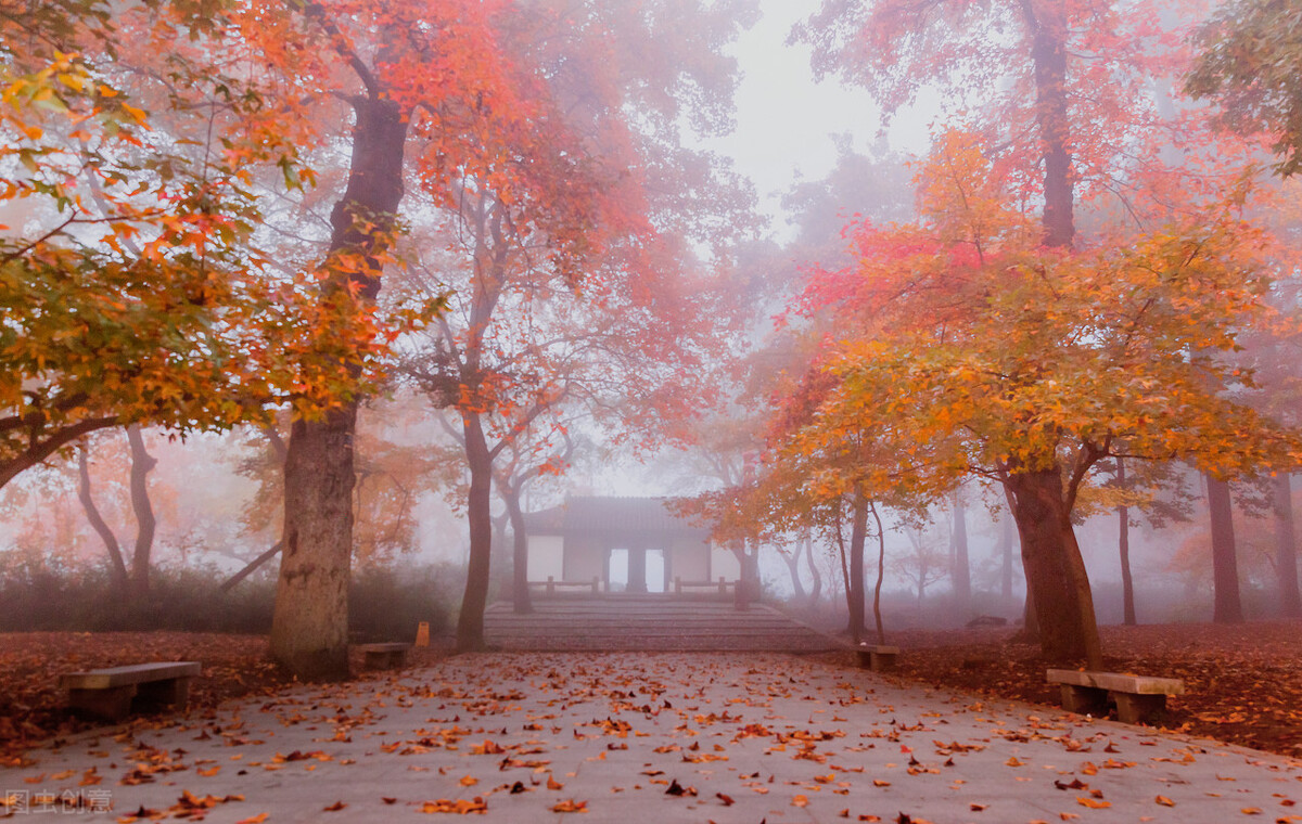 9月不可错过的这15处初秋美景，领略中国最美的秋色，美得不像话插图57