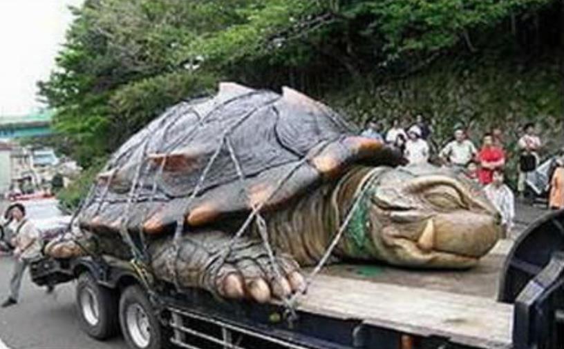 1965年黄河巨龟事件介绍1965年黄河巨龟事件关于1965