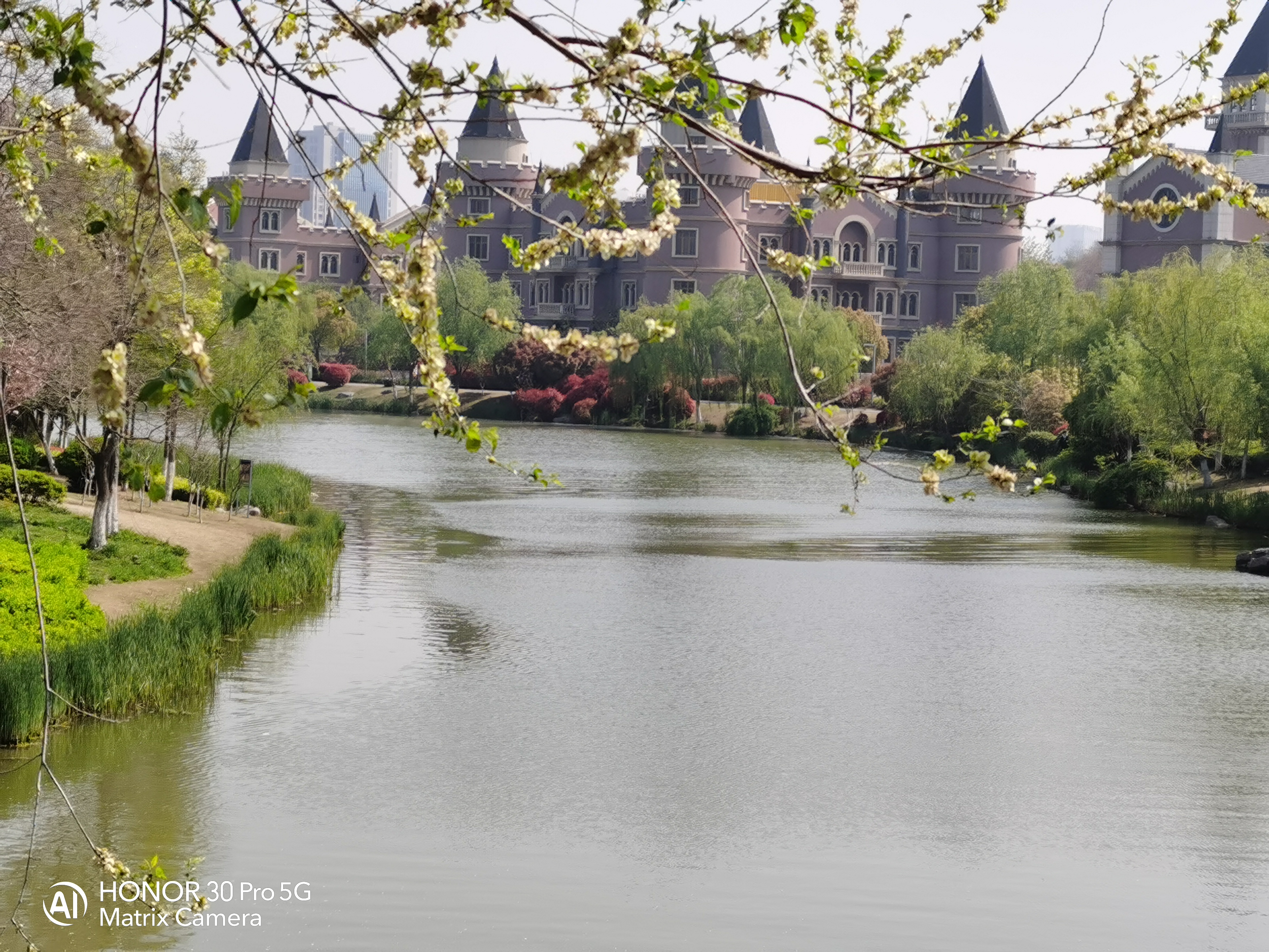 当完全不会拍照的媳妇儿上手测试荣耀30 Pro，你