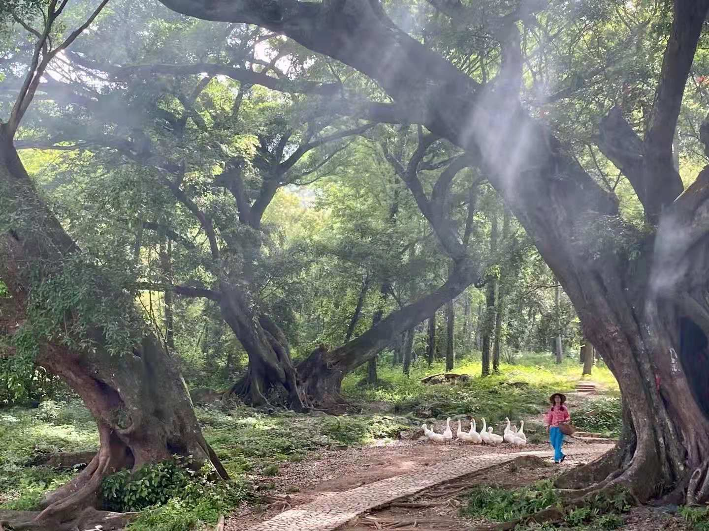我们的霞浦路线图：光影栈道、东壁、杨家溪、赤溪、S弯、下尾岛