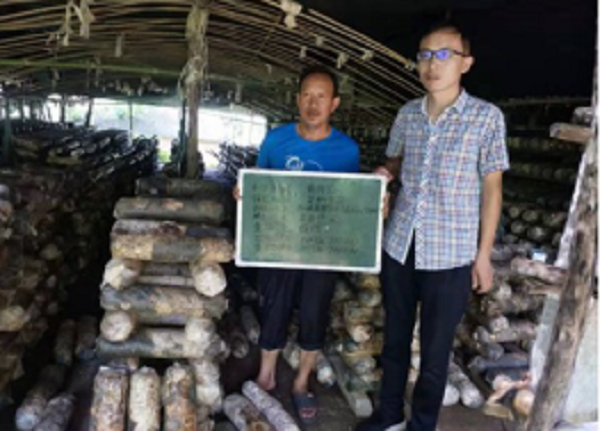 脱贫攻坚|西峡县军马河镇：产业保险为贫困户发展产业上保险