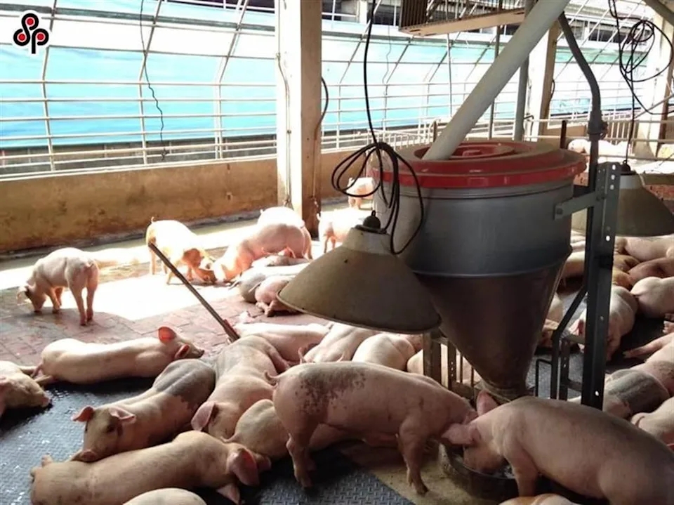 台�農委會�竟登廣告稱萊劑增收益又環保，藍營批：假信息未懲處