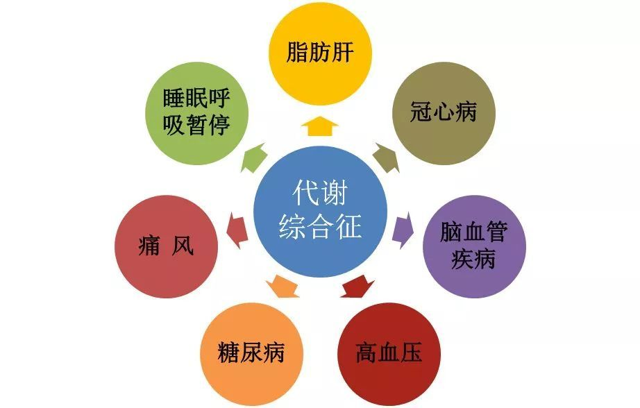 �Ի������������������о���������Ѫ�ܸ�������ÿ��Ҫ�Զ��٣�