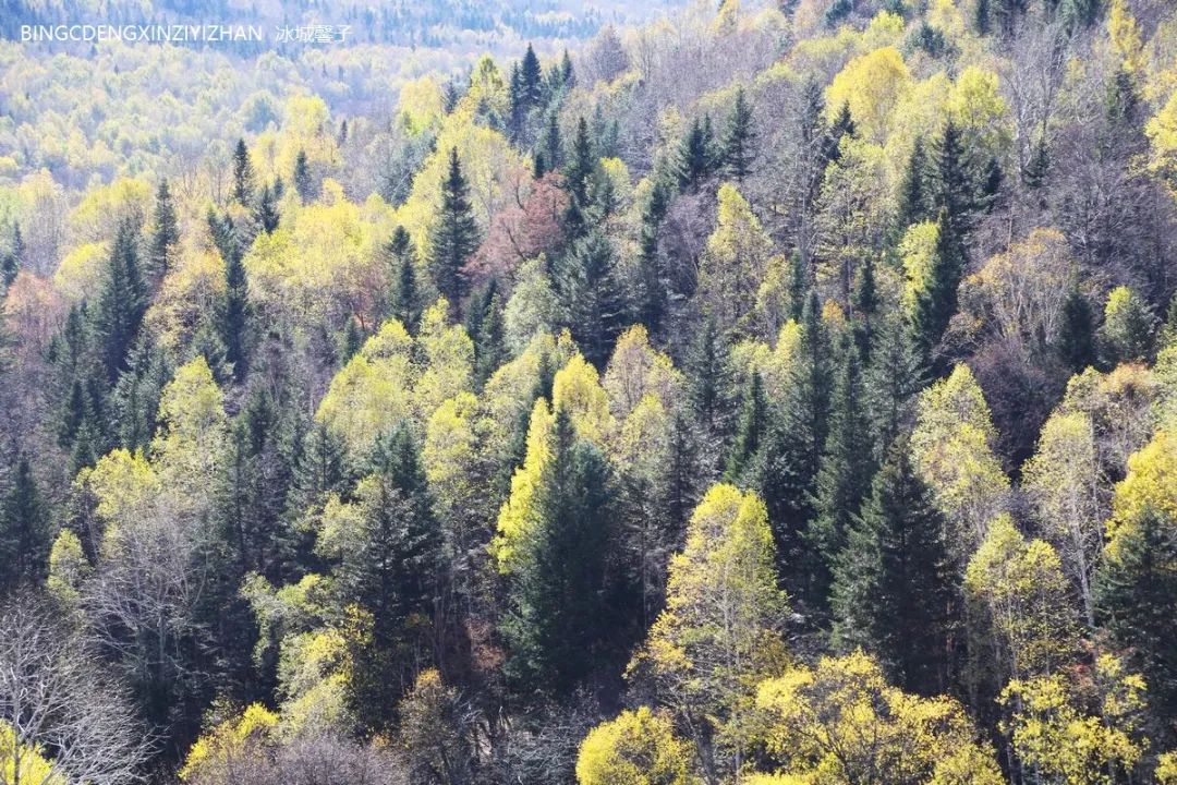 Xuexiang Tianlu, walking through the poetry of autumn leaves dancing with the first snow
