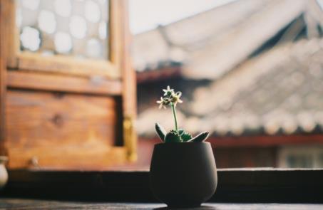 真正聰明的人，一半君子一半小人