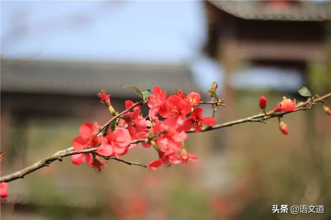 春天的8首经典古诗词，许你一场春暖花开