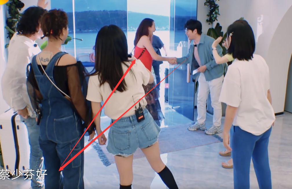 这就是艺术家修养，和蔡少芬握手时，郎朗这个动作太绅士