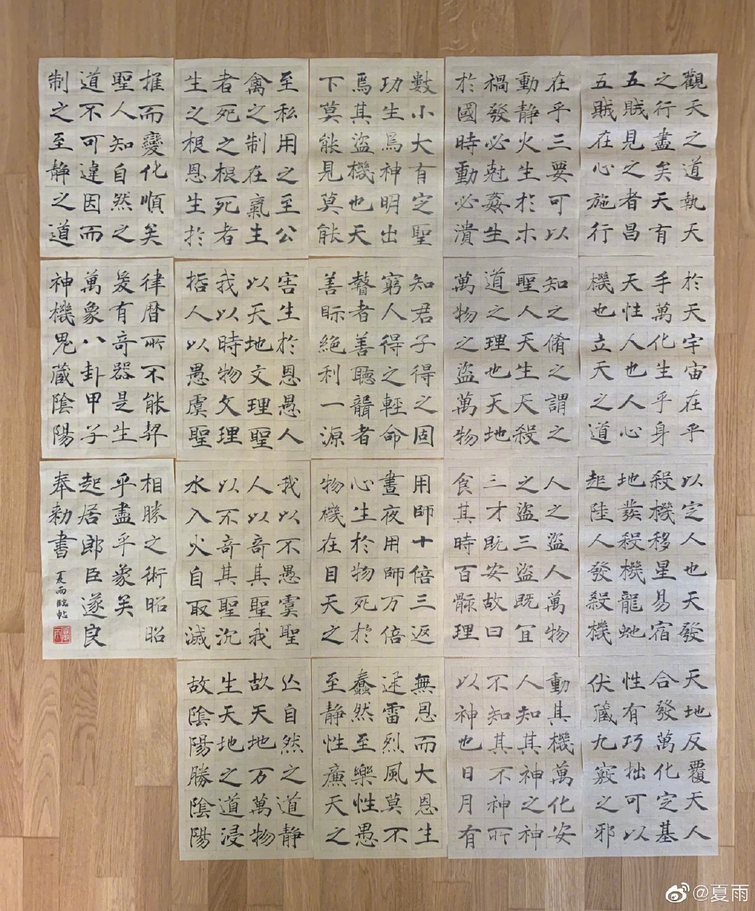 夏雨的退休生活：师法褚遂良，与书法为伴，老婆袁泉频点赞