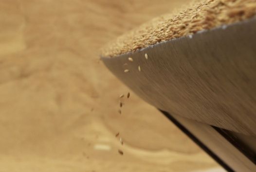 倒打一耙？ 澳大利亞"政冷經熱"玩不轉，要和中國在WTO打官司