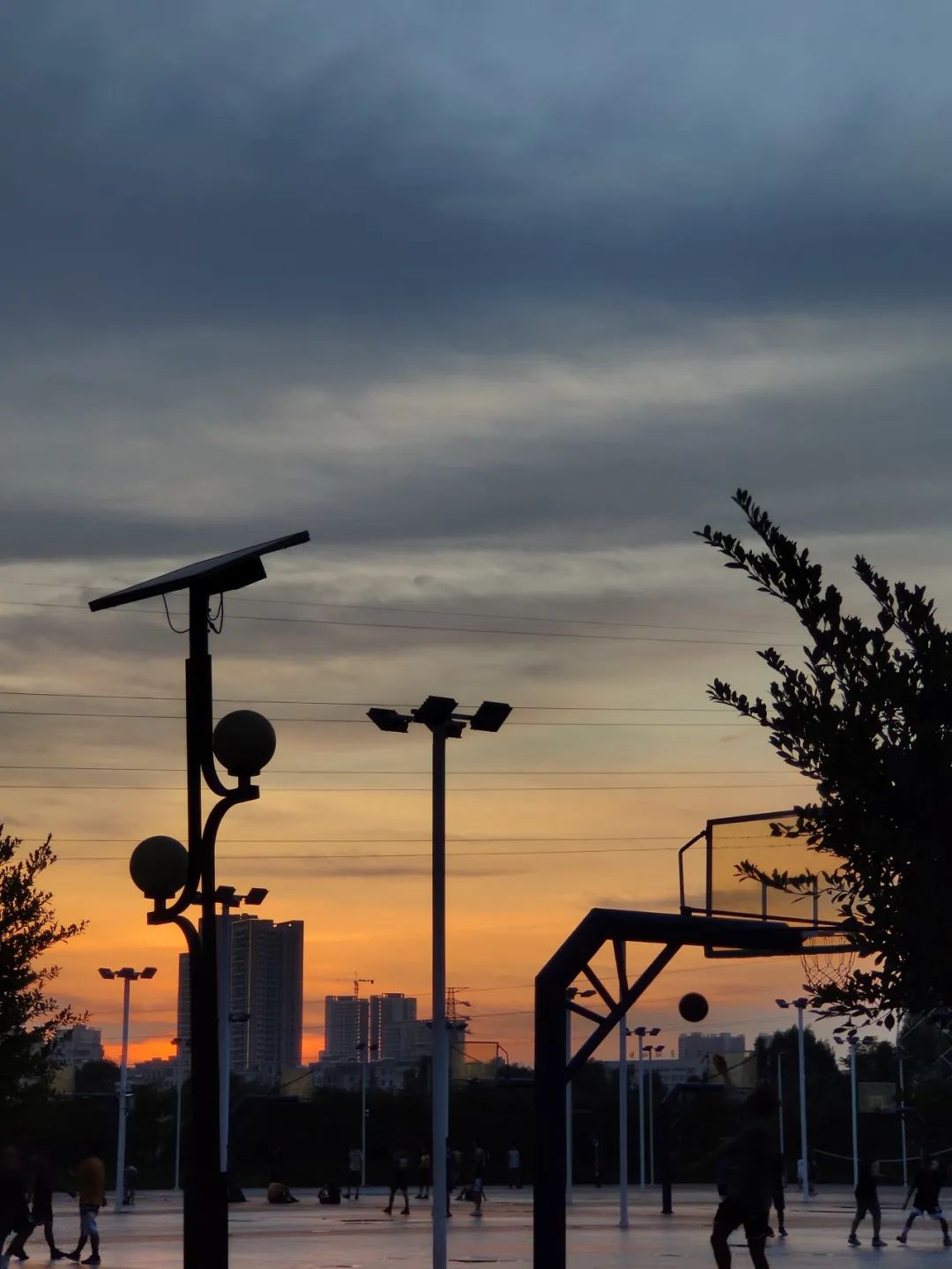 Small happiness | Those who record the life is small I hope truly -- crepuscular piece