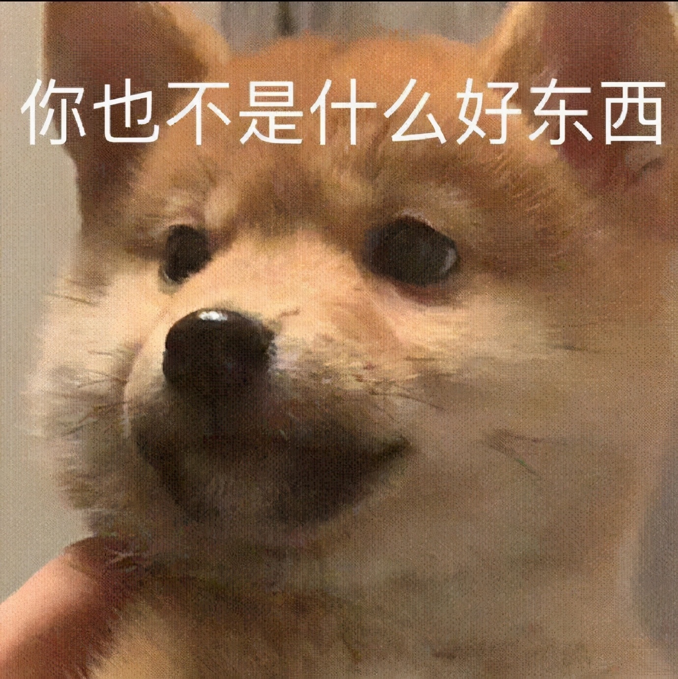 表情包 假装吃惊 我是不是有点胖了 惊讶震惊 搞起啦表情图片网