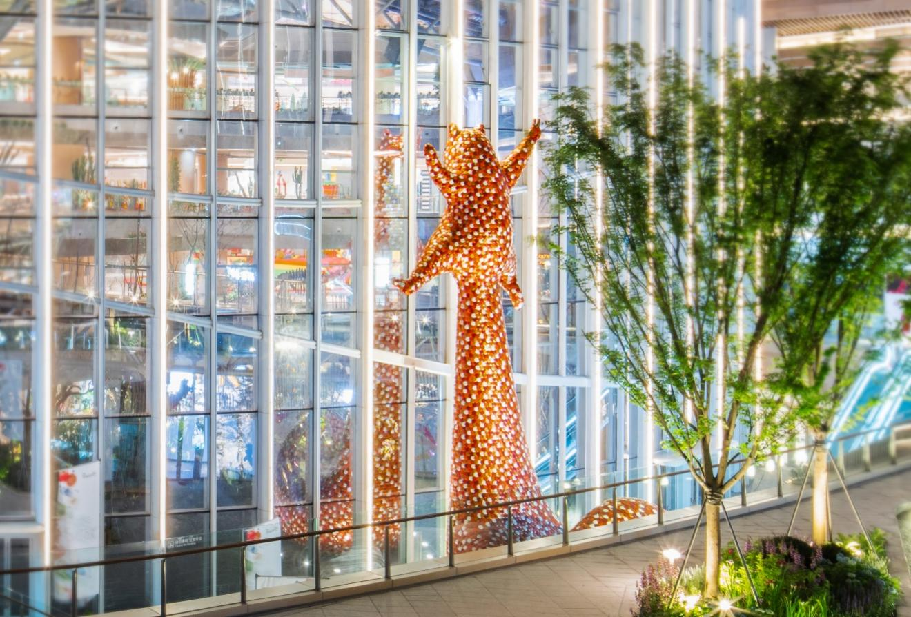 重庆光环购物公园盛大开幕 室内植物园亮相