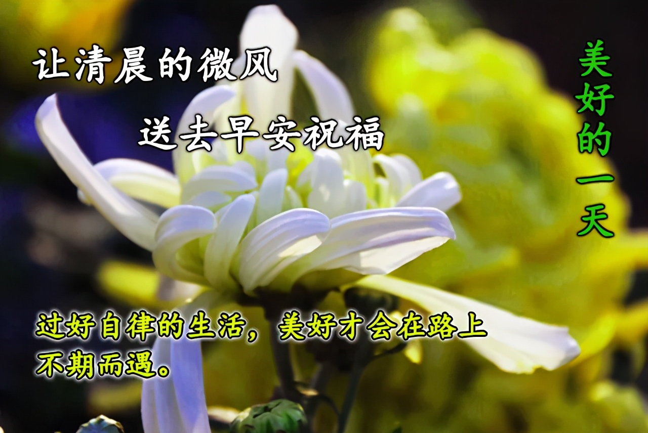 2021最新的早上好图片，最有特色的早上好动图图片