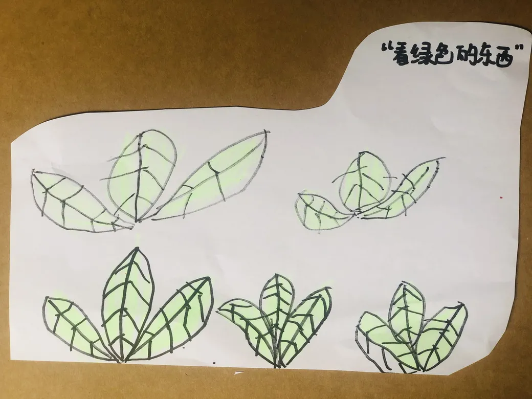 眼睛的秘密——四川天府新区华阳幼儿园南区小一班安全主题活动