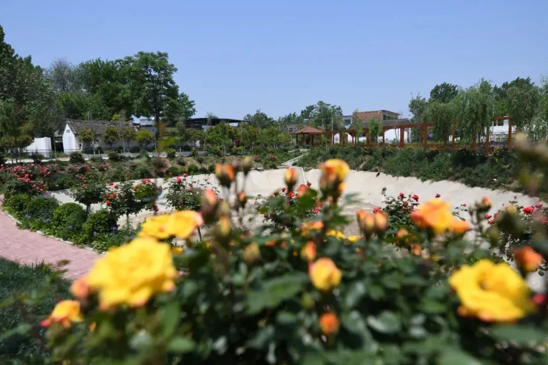 �׽����������Ļ����ν������ܹ���